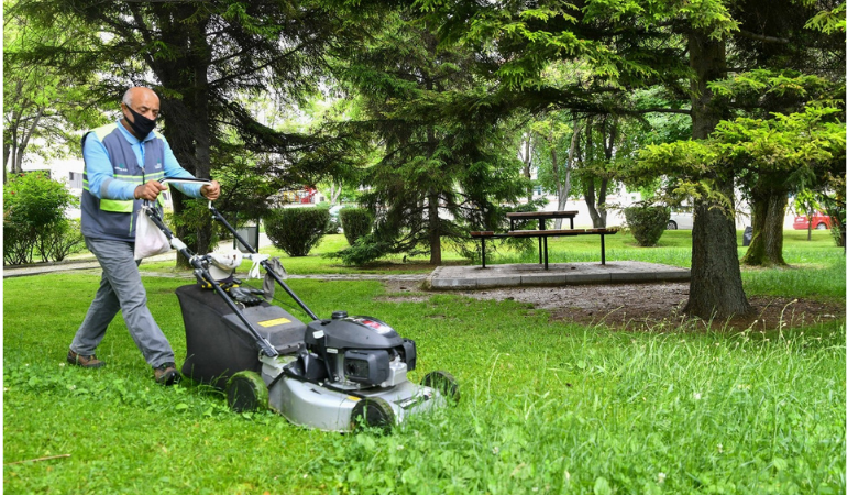 Park & Bahçe Bakım Hizmetleri
